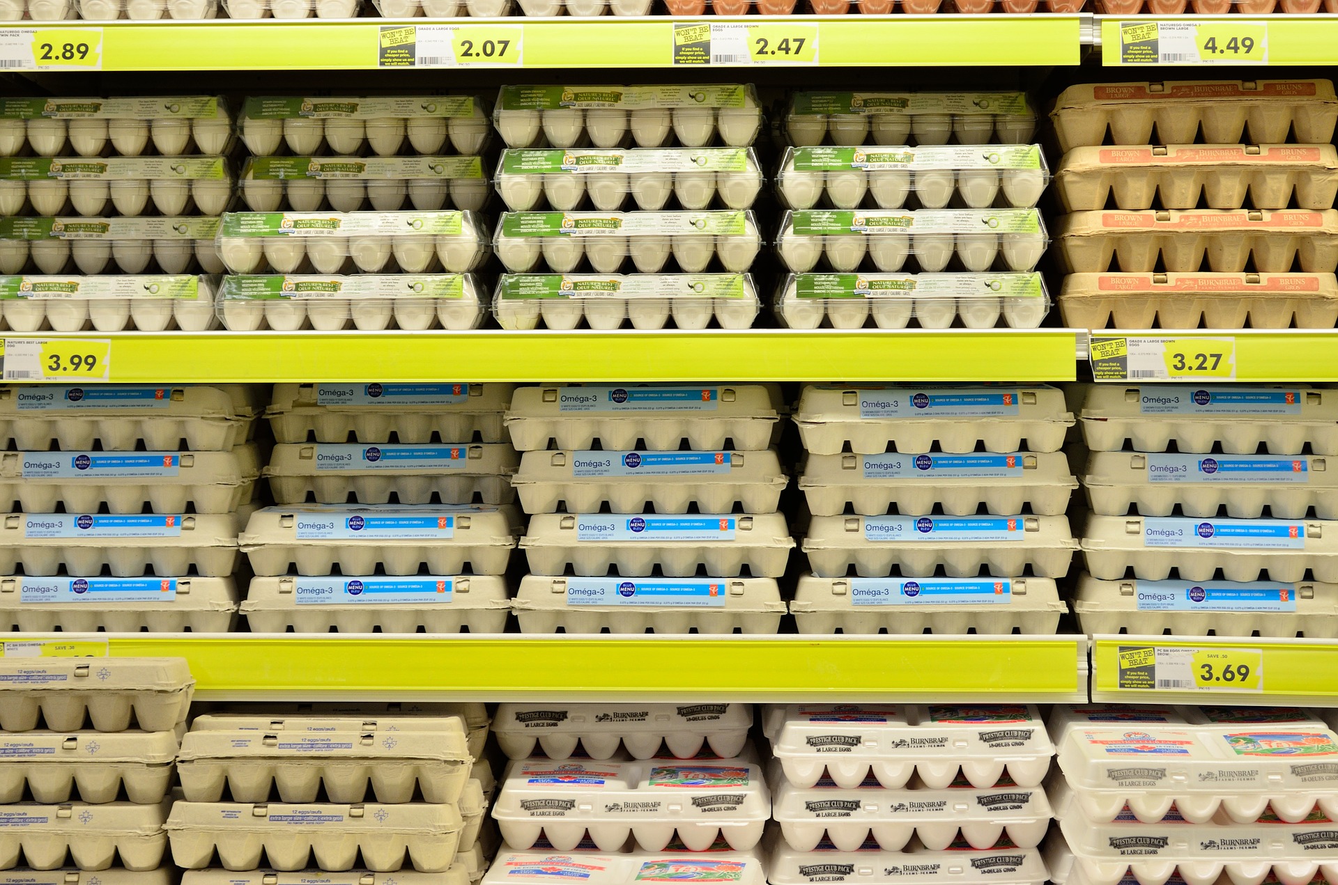 Grocery shelves full of eggs